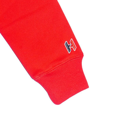 Buzo Hoodie 2025077
